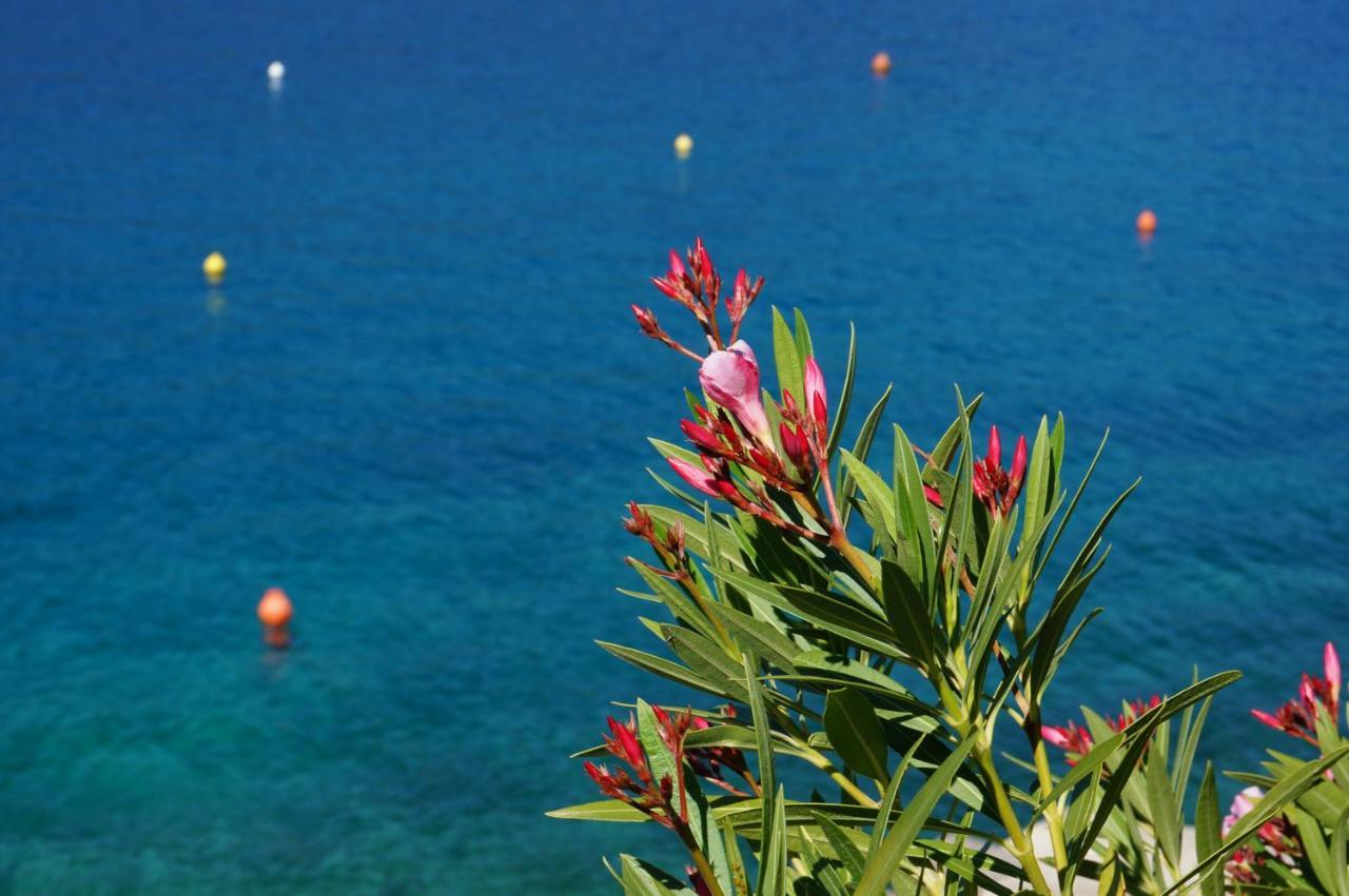 Angie - Intermezzo With Sea View In Center Of *