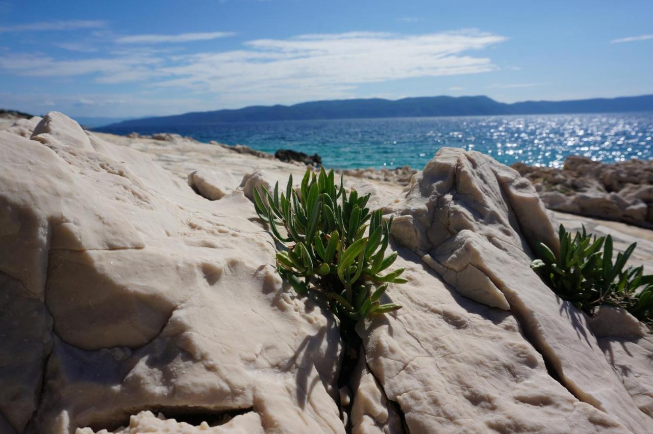Angie - Intermezzo With Sea View In Center Of * Rabac