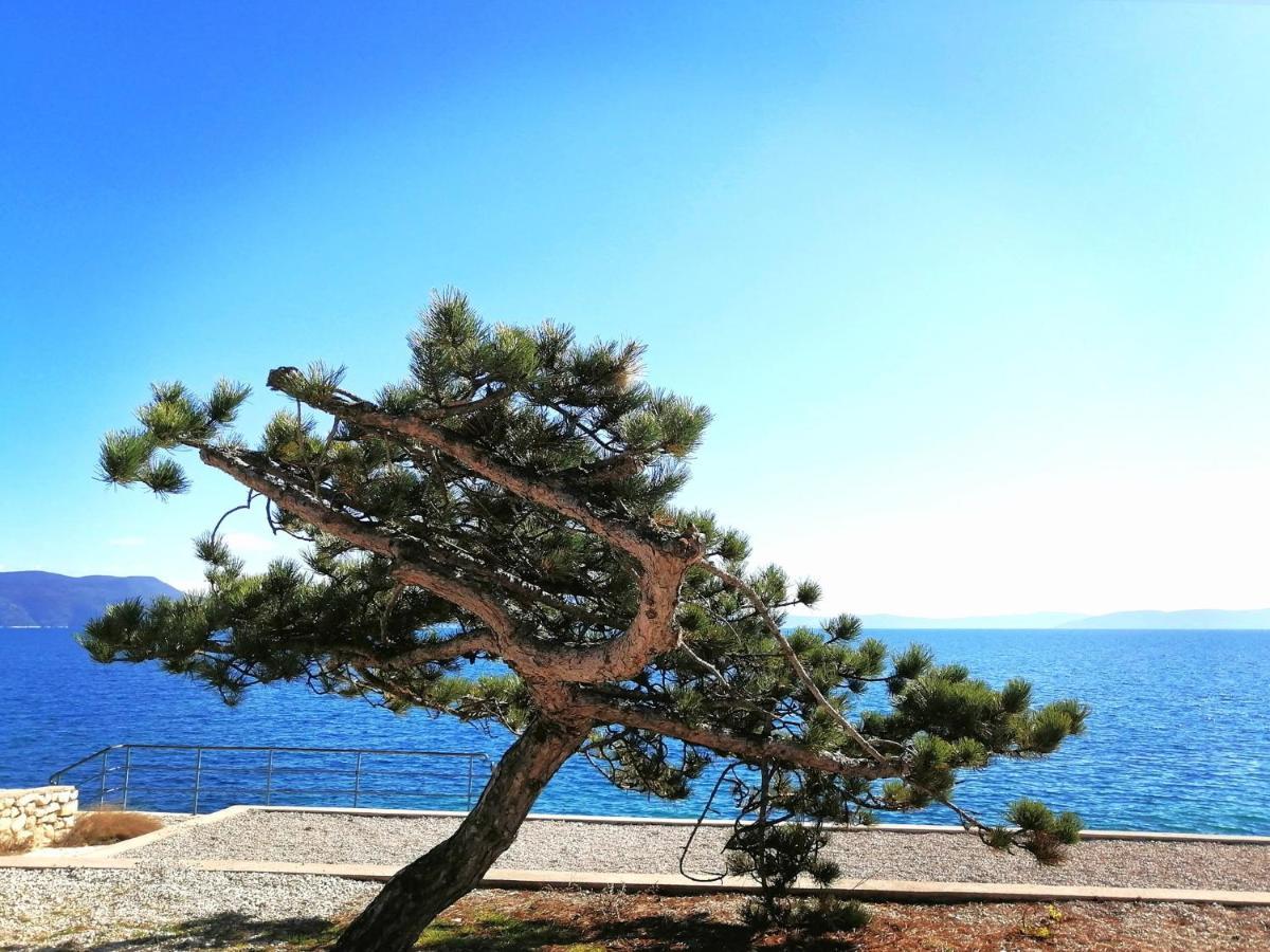Apartment Angie - Intermezzo With Sea View In Center Of
